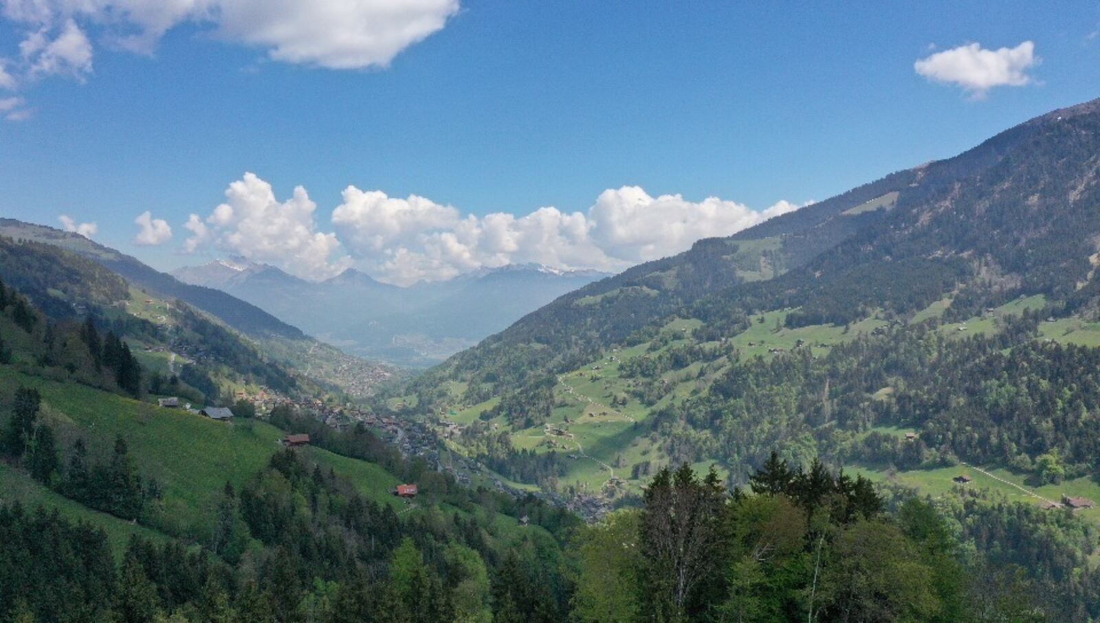 Chalet Verdure