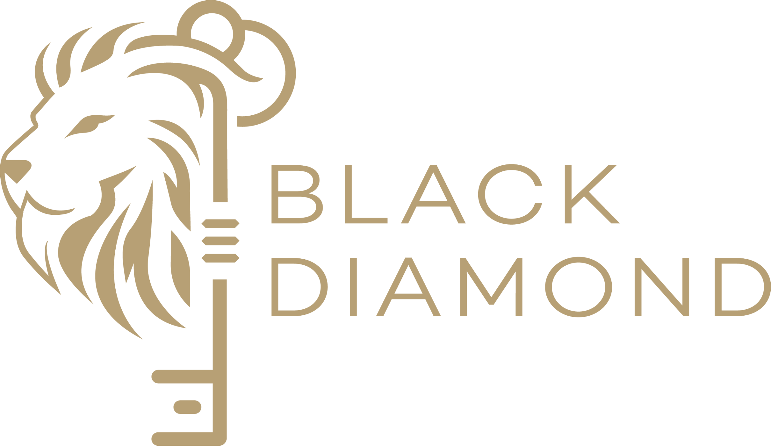 Black Diamond — Champéry