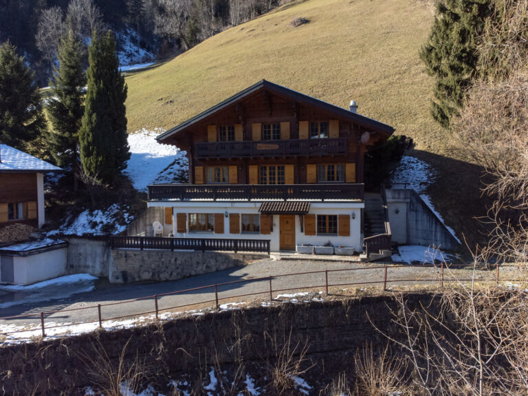 Chalet Les Patineurs