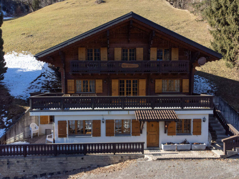 Chalet Les Patineurs