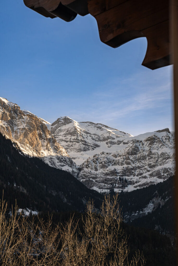 Chalet Les Patineurs