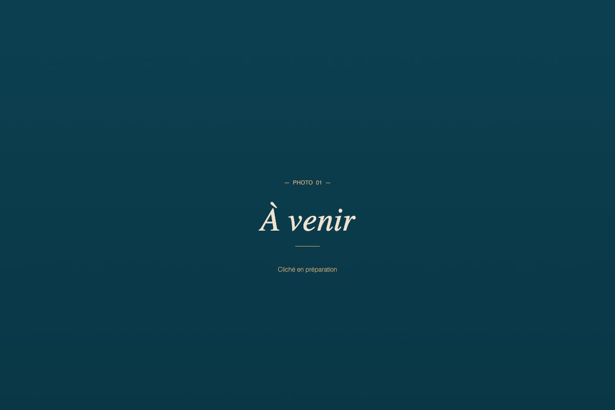 Photo à venir